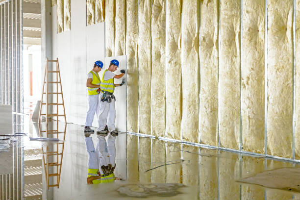 Best Specialty Insulation in Kingston, OK